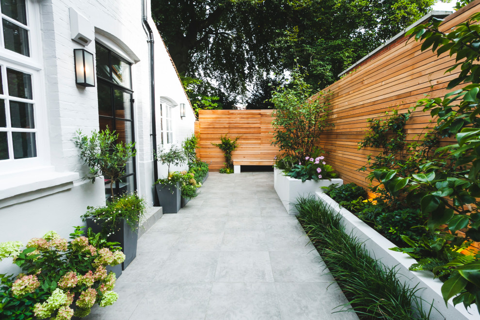 Modelo de jardín actual pequeño en patio con jardín francés y macetero elevado