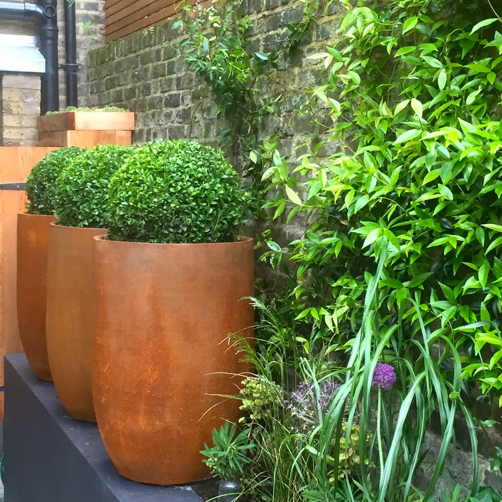 Esempio di un piccolo giardino formale minimal esposto a mezz'ombra dietro casa in estate con un muro di contenimento e pavimentazioni in pietra naturale