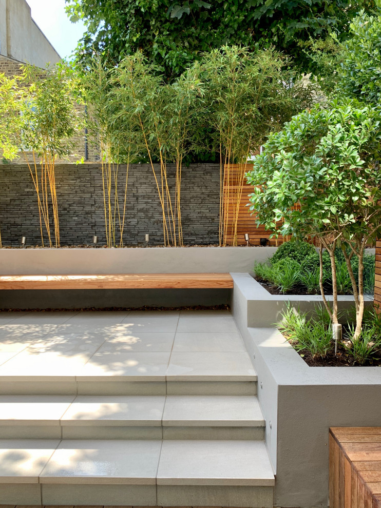 Свежая идея для дизайна: маленький участок и сад на заднем дворе в современном стиле с с деревянным забором для на участке и в саду - отличное фото интерьера