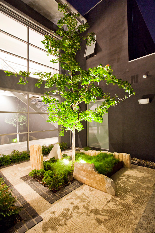 Immagine di un giardino formale minimal esposto a mezz'ombra di medie dimensioni e nel cortile laterale con ghiaia
