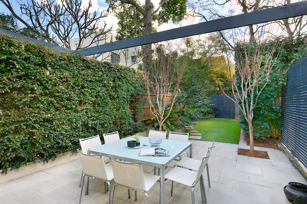 シドニーにあるトラディショナルスタイルのおしゃれな裏庭のテラス (壁面緑化、コンクリート敷き	) の写真