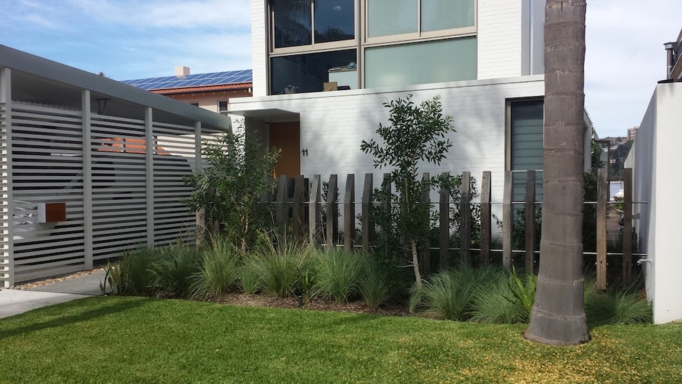 Inspiration for a medium sized contemporary front full sun garden in Sydney.