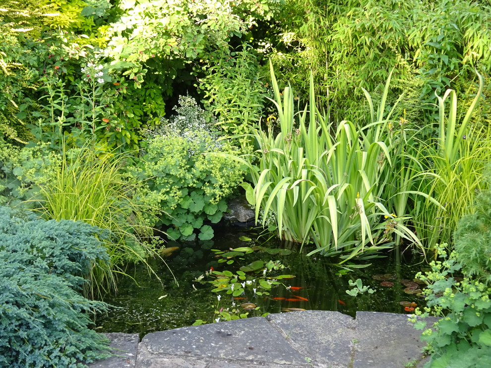 Close up of the fish pond - Rustic - Landscape - London - by Jane ...