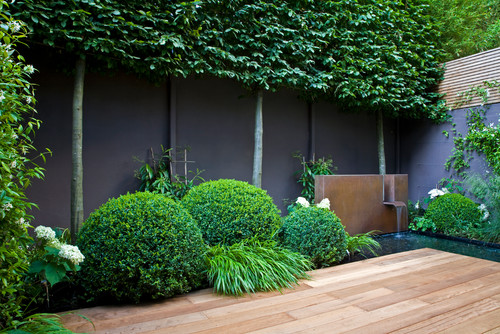 black-wall-foliage-garden