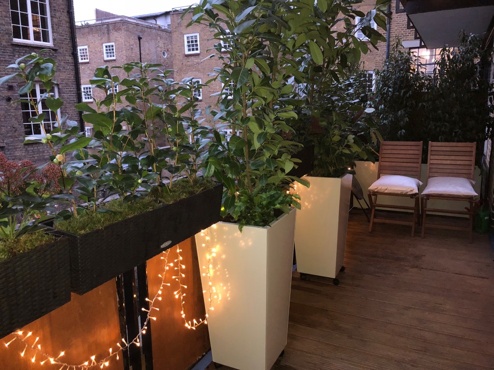 Kleiner Moderner Dachgarten in London