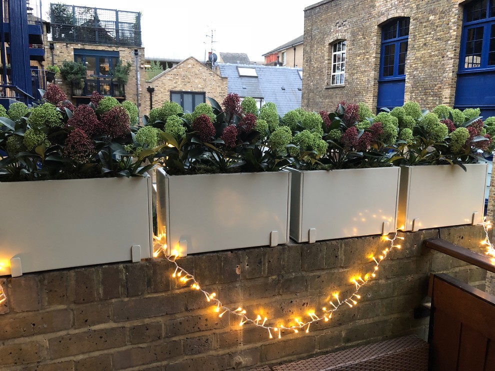 This is an example of a small contemporary roof garden in London.
