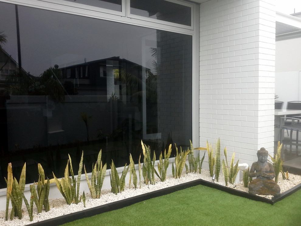 Idéer för en liten exotisk trädgård i delvis sol framför huset, med marksten i betong