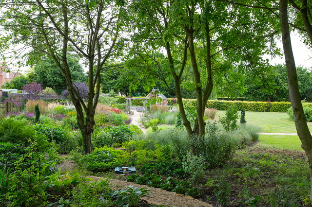 Complete Garden Makeover, Wallingford - Casa de campo - Jardín