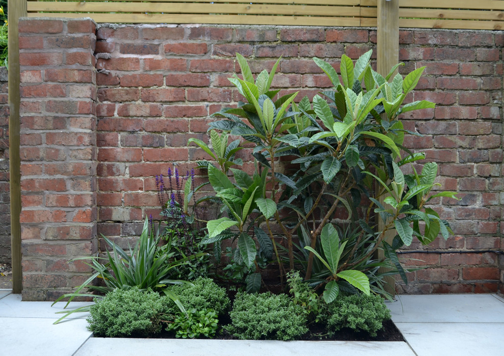 Completed Garden design Tunbridge Wells Contemporary Landscape