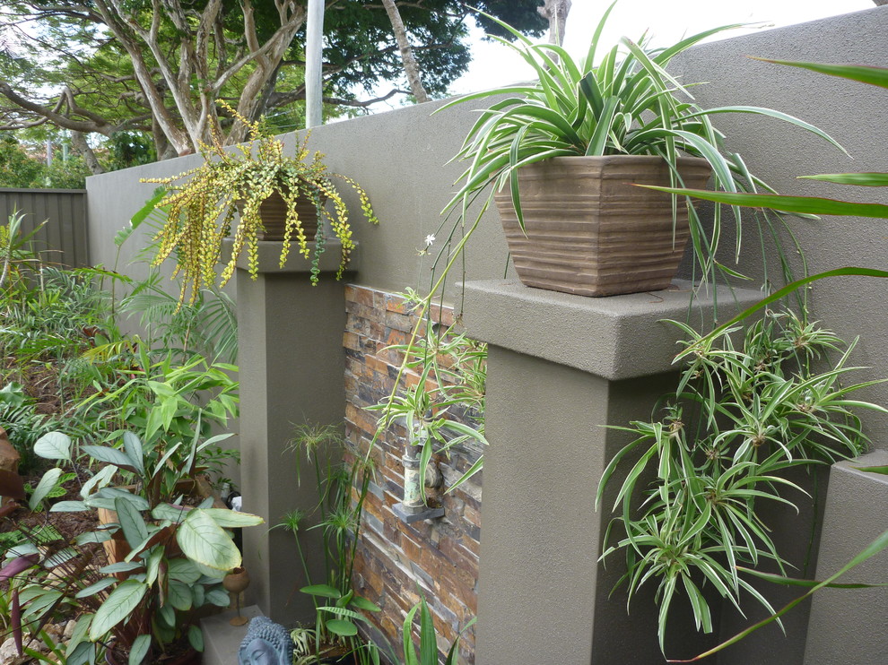 Photo of a tropical landscaping in Brisbane.