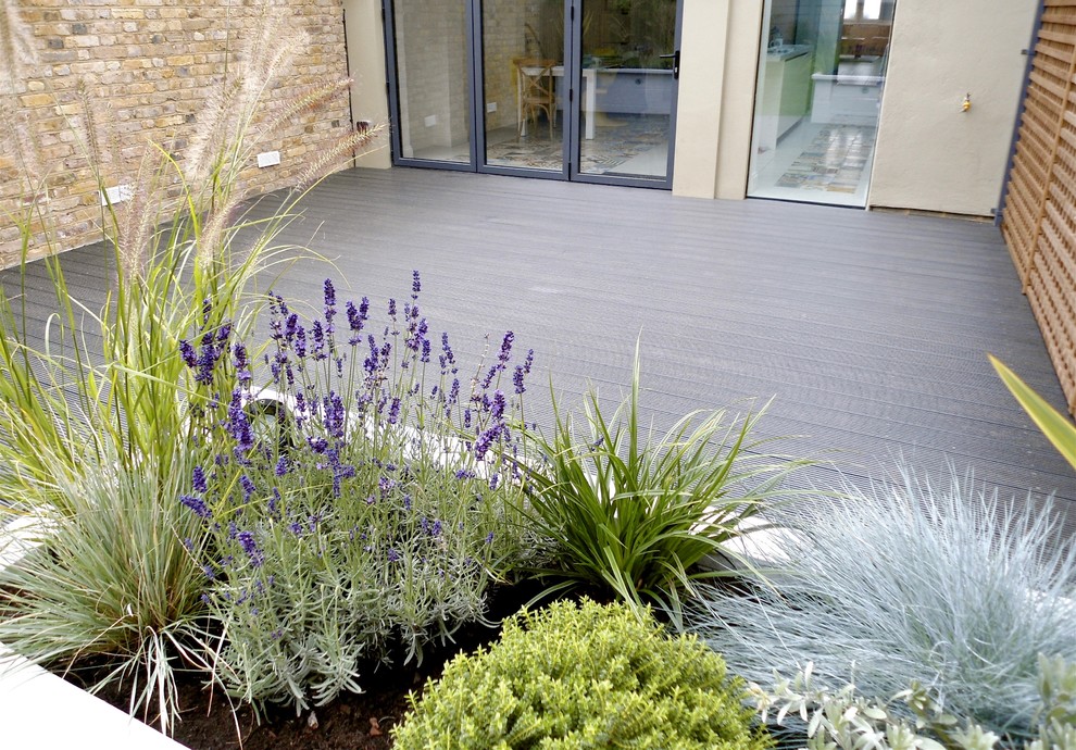 Photo of a contemporary garden in Other with decking.