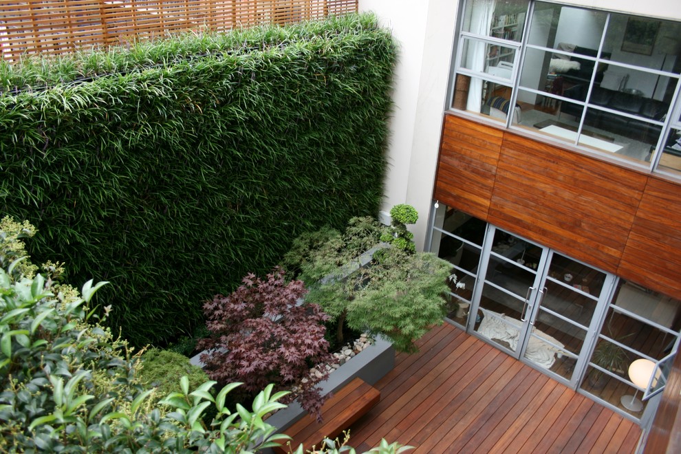Aménagement d'un petit jardin contemporain l'été avec une exposition partiellement ombragée et une terrasse en bois.