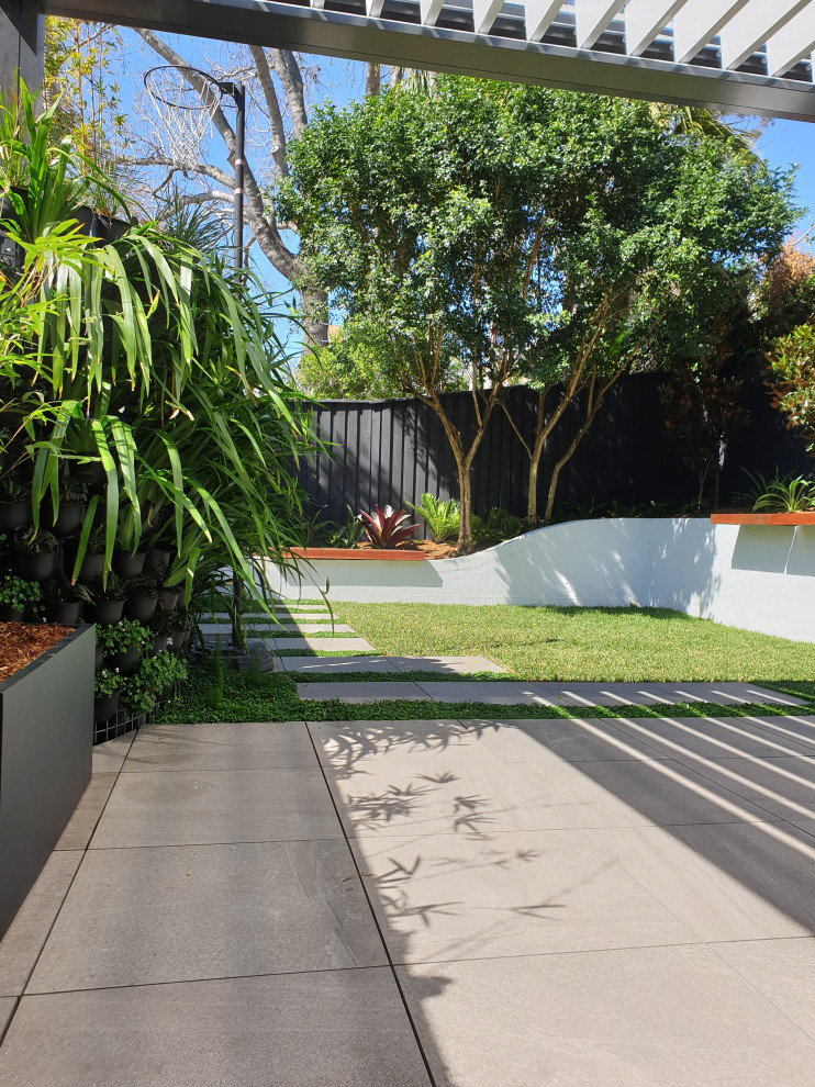 Inspiration for a small contemporary partial sun backyard concrete paver formal garden in Edinburgh for summer.