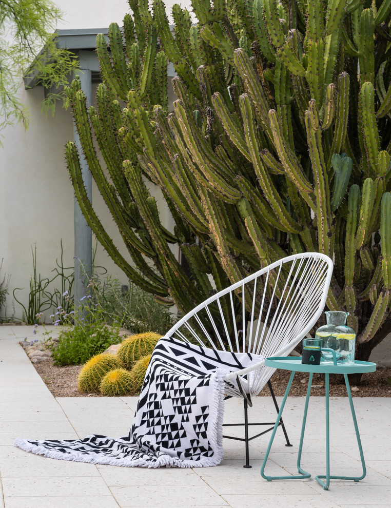 Diseño de camino de jardín de secano de estilo americano pequeño en verano en patio trasero con exposición total al sol y adoquines de hormigón