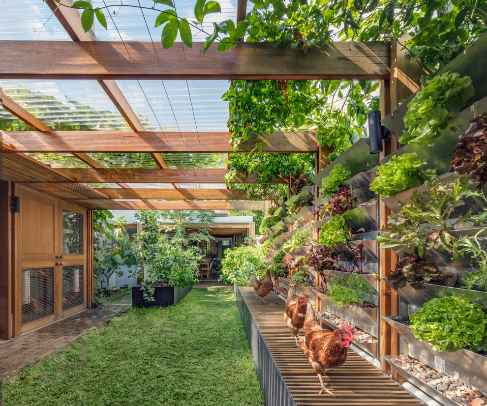 Ispirazione per un piccolo orto in giardino design esposto in pieno sole dietro casa con pavimentazioni in mattoni