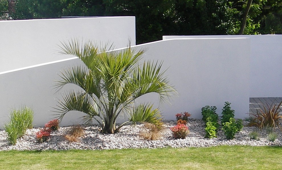 This is an example of a contemporary garden in Hampshire.