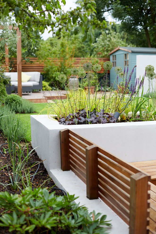 Immagine di un giardino minimal di medie dimensioni e dietro casa