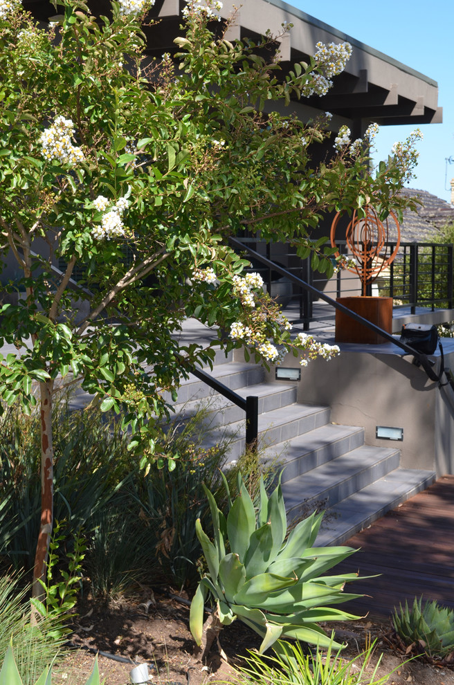 Photo of a contemporary landscaping in Adelaide.