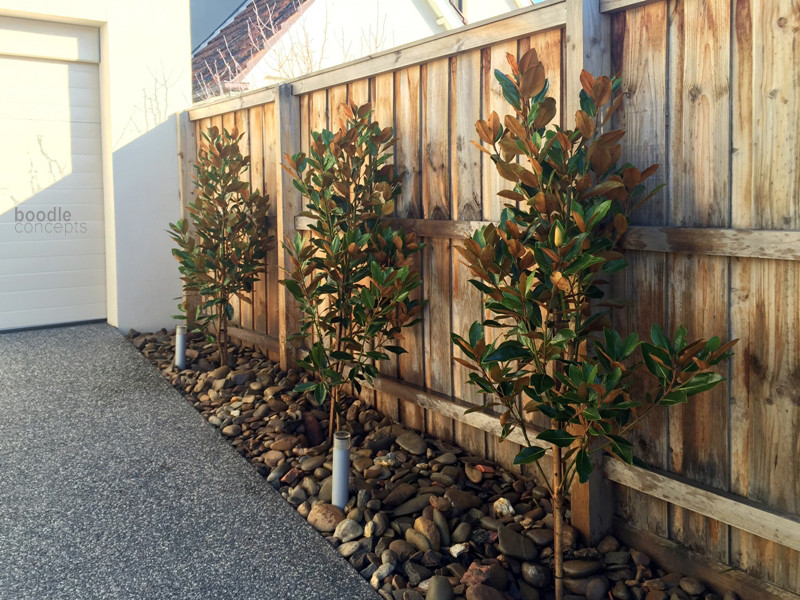 Kleiner, Halbschattiger Moderner Kiesgarten im Winter, neben dem Haus mit Auffahrt in Melbourne