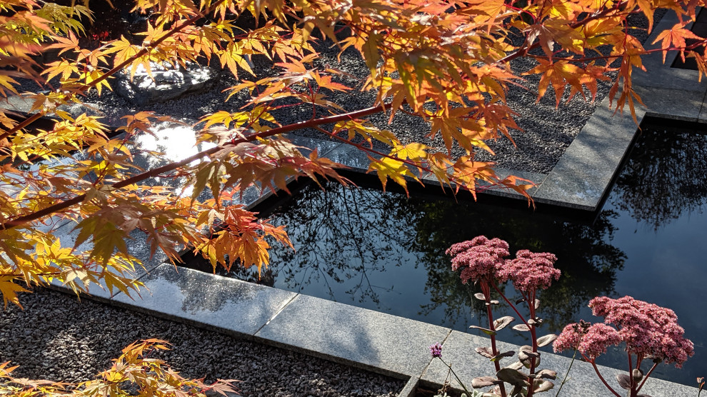 Geometrischer, Mittelgroßer Moderner Japanischer Garten hinter dem Haus in Cheshire