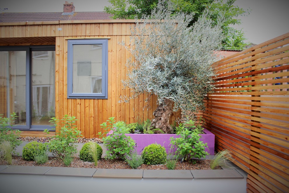 Diseño de jardín contemporáneo de tamaño medio en patio trasero