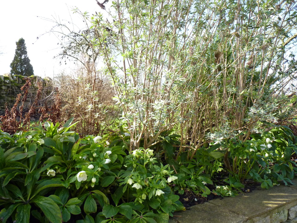 Esempio di un giardino country esposto in pieno sole nel cortile laterale in inverno