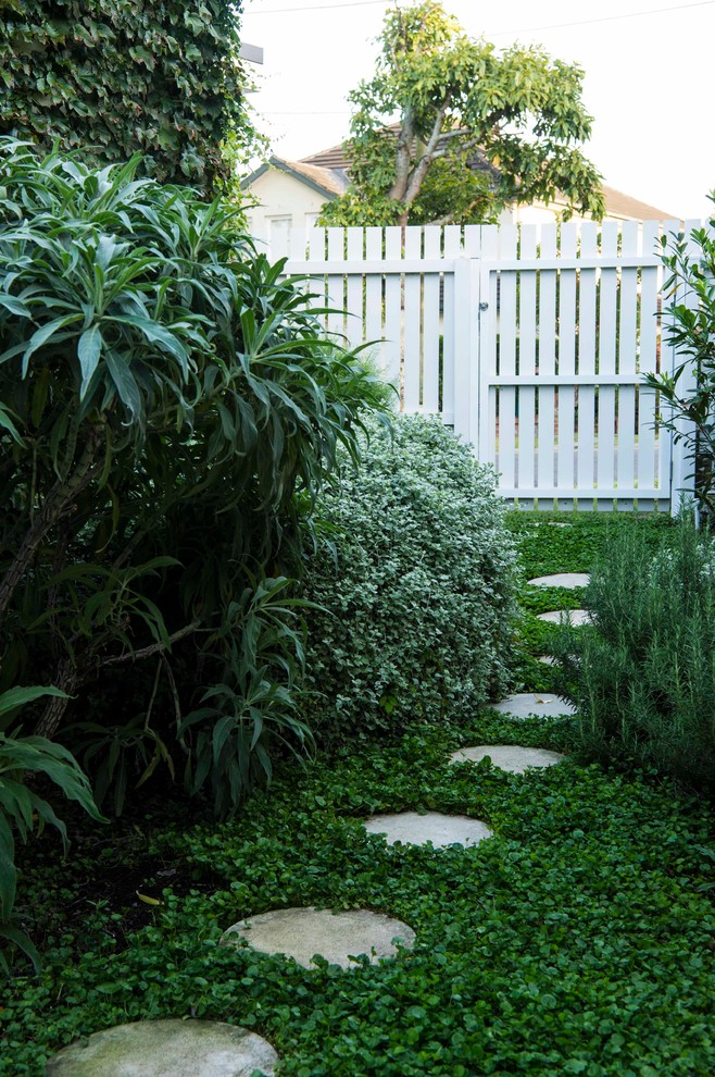 Immagine di un giardino xeriscape stile marinaro esposto a mezz'ombra di medie dimensioni e davanti casa in primavera con un ingresso o sentiero e pavimentazioni in cemento