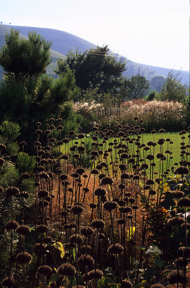 Esempio di un grande giardino country esposto in pieno sole davanti casa in autunno