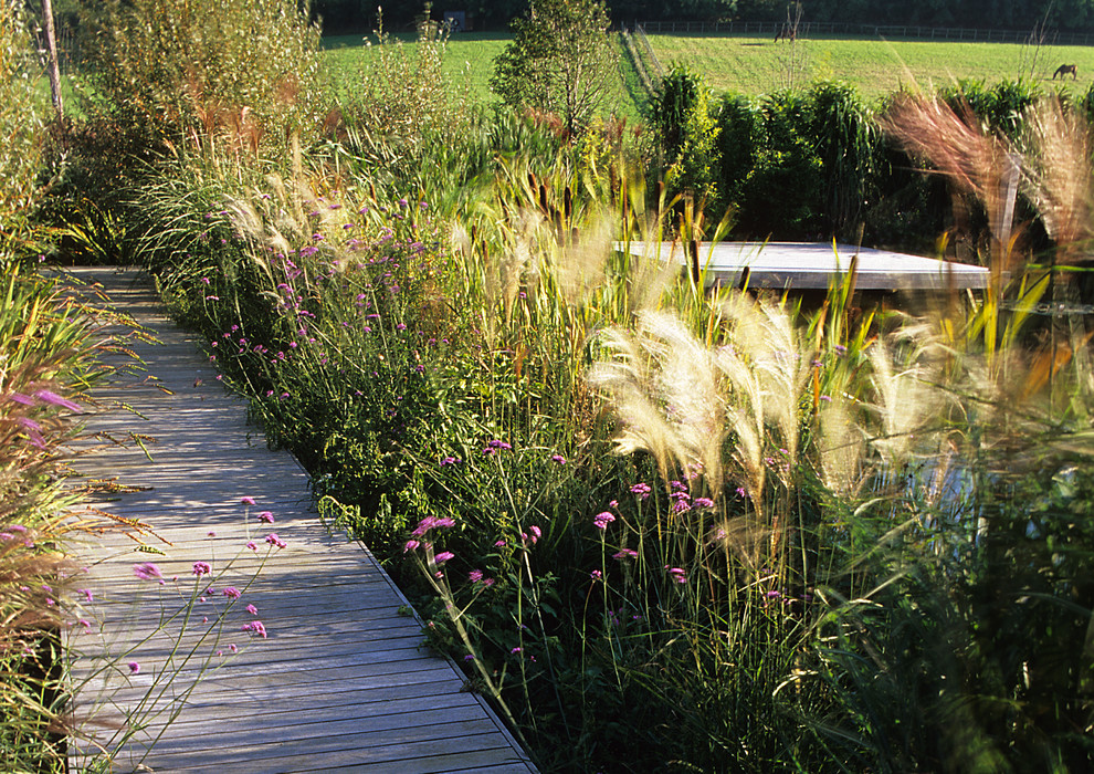 Esempio di un giardino country esposto in pieno sole di medie dimensioni e dietro casa in autunno con un ingresso o sentiero e pedane