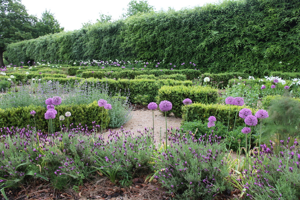 Cette image montre un jardin rustique avec une exposition ensoleillée.