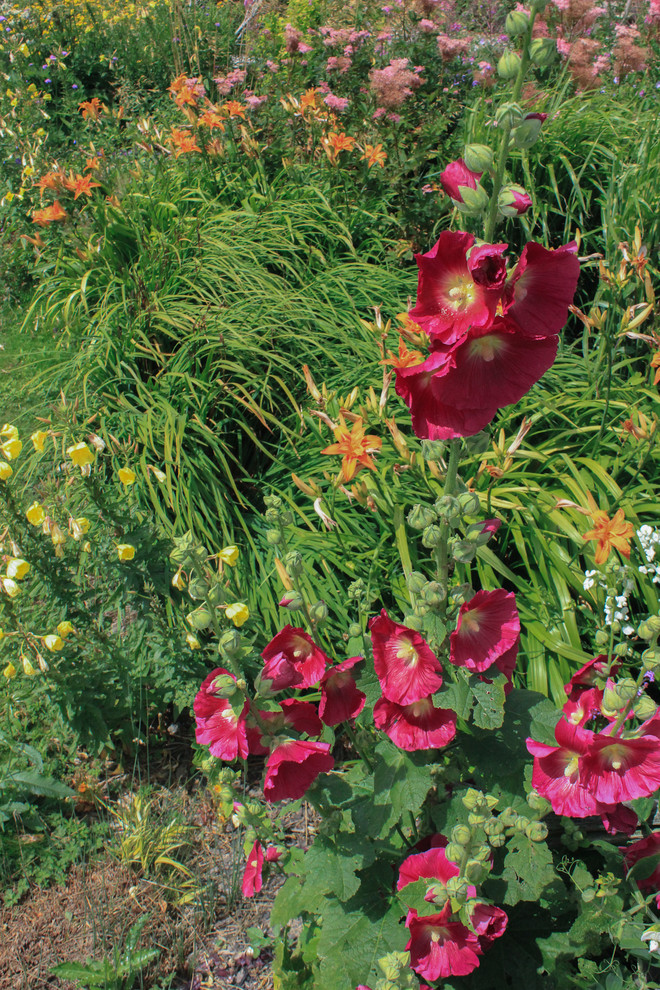 Inspiration for a large rustic back full sun garden in Sussex with decking.