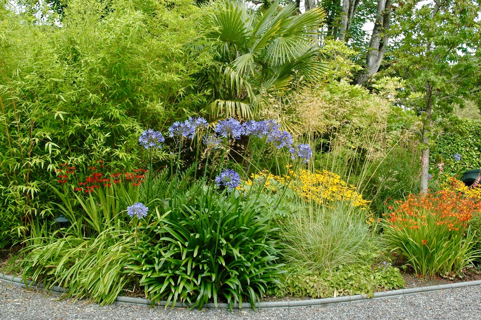 Exemple d'un jardin nature.