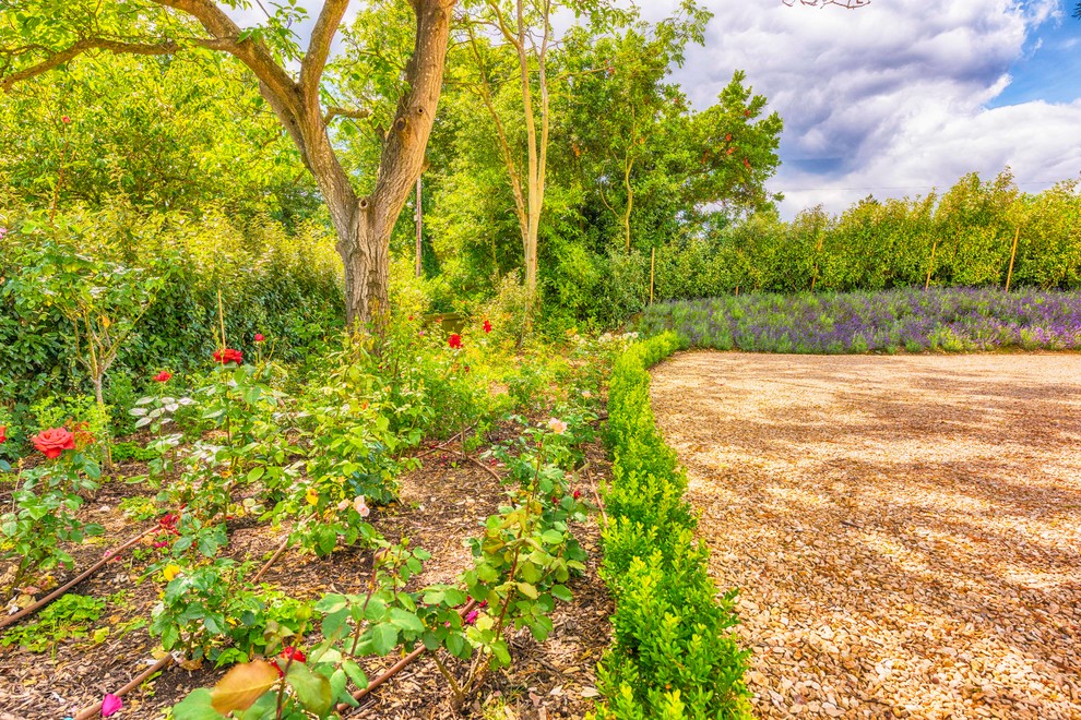 Large rural front driveway full sun garden for summer in Wiltshire with a garden path and gravel.