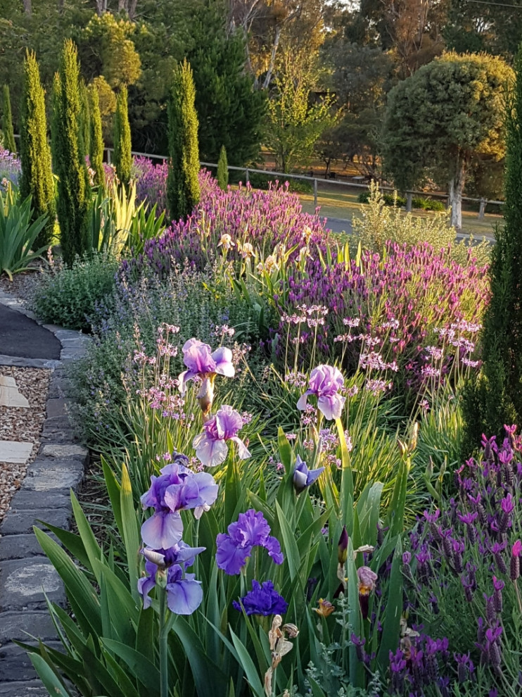 Idee per un giardino country esposto in pieno sole davanti casa in primavera con ghiaia