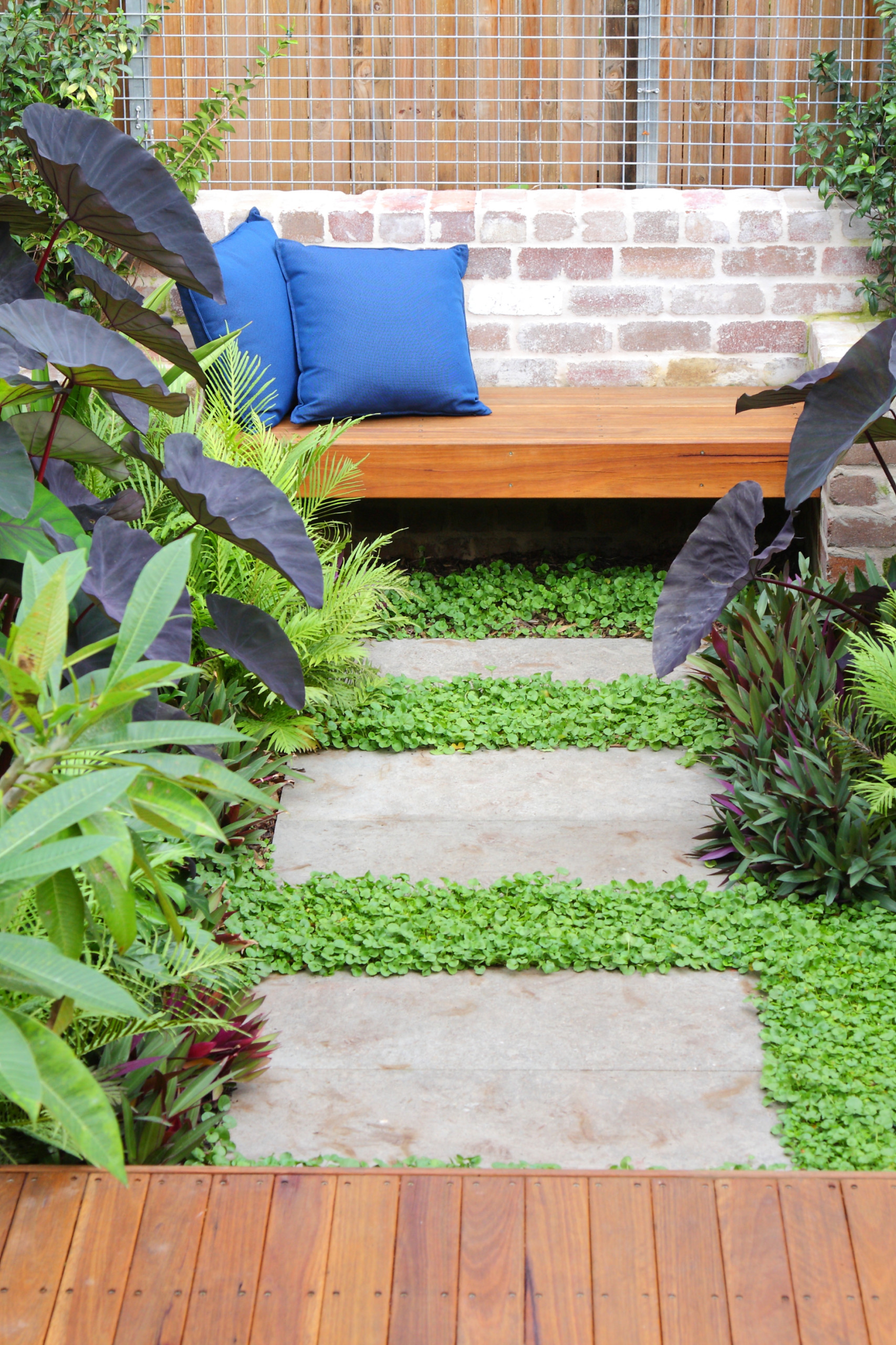 tropical oasis backyard on Courtyard Oasis Tropical Landscape Sydney By Sticks And Stones Landscape Design Houzz