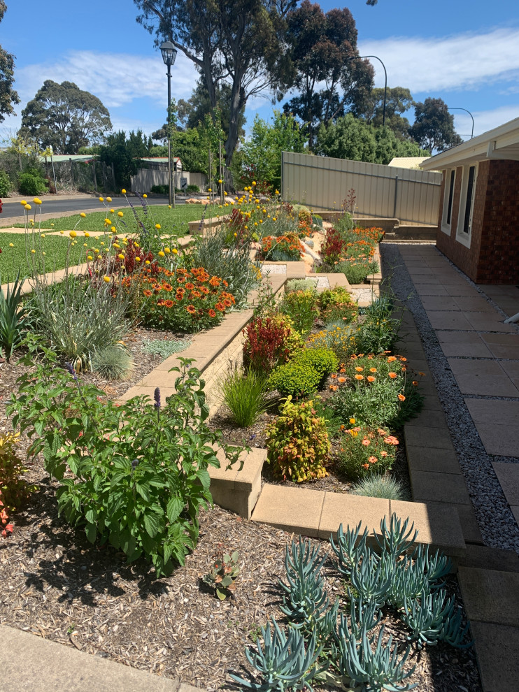Foto di un giardino xeriscape minimal esposto in pieno sole di medie dimensioni e davanti casa in primavera con un ingresso o sentiero e pavimentazioni in cemento