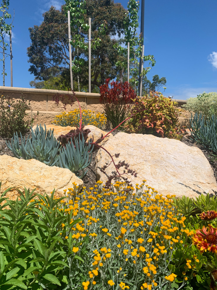 Esempio di un giardino xeriscape minimal esposto in pieno sole di medie dimensioni e davanti casa in primavera con un ingresso o sentiero e pavimentazioni in cemento