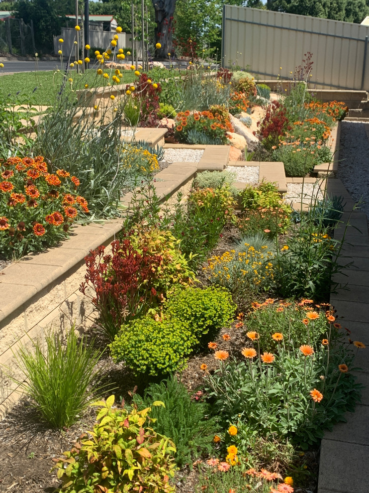 Ejemplo de camino de jardín de secano contemporáneo de tamaño medio en primavera en patio delantero con exposición total al sol y adoquines de hormigón