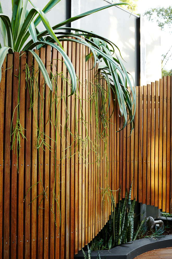 Halbschattige Moderne Pflanzenwand hinter dem Haus mit Dielen in Sydney