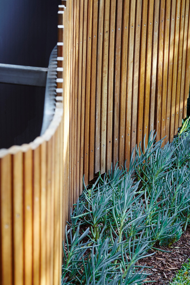 Halbschattige Moderne Pflanzenwand hinter dem Haus mit Dielen in Sydney