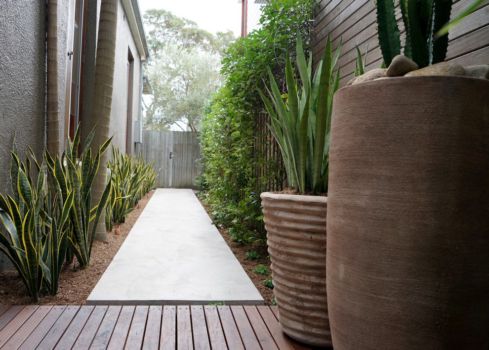 Geometrischer, Kleiner Moderner Garten im Sommer, hinter dem Haus mit direkter Sonneneinstrahlung und Betonboden in Sydney