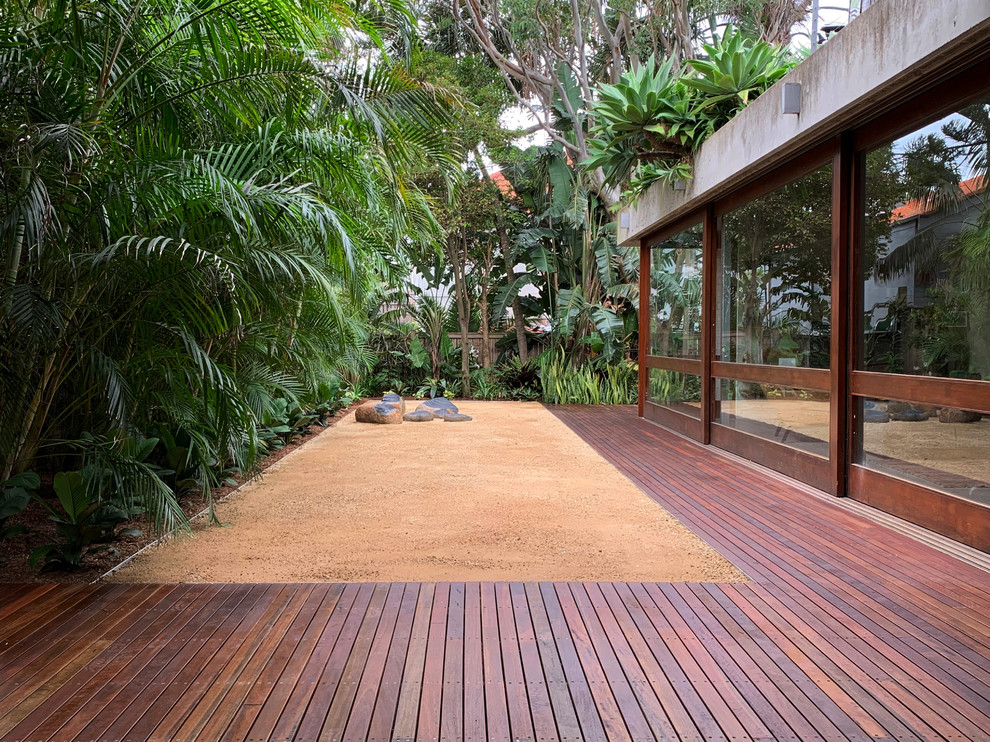 Photo of a large tropical full sun backyard gravel formal garden in Sydney for summer.