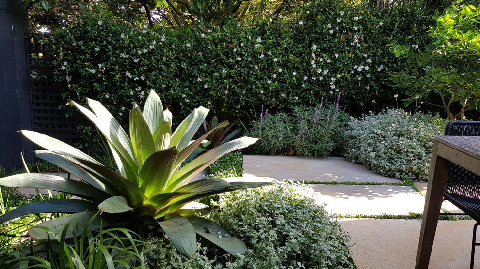 Immagine di un giardino design esposto a mezz'ombra di medie dimensioni e in cortile in estate
