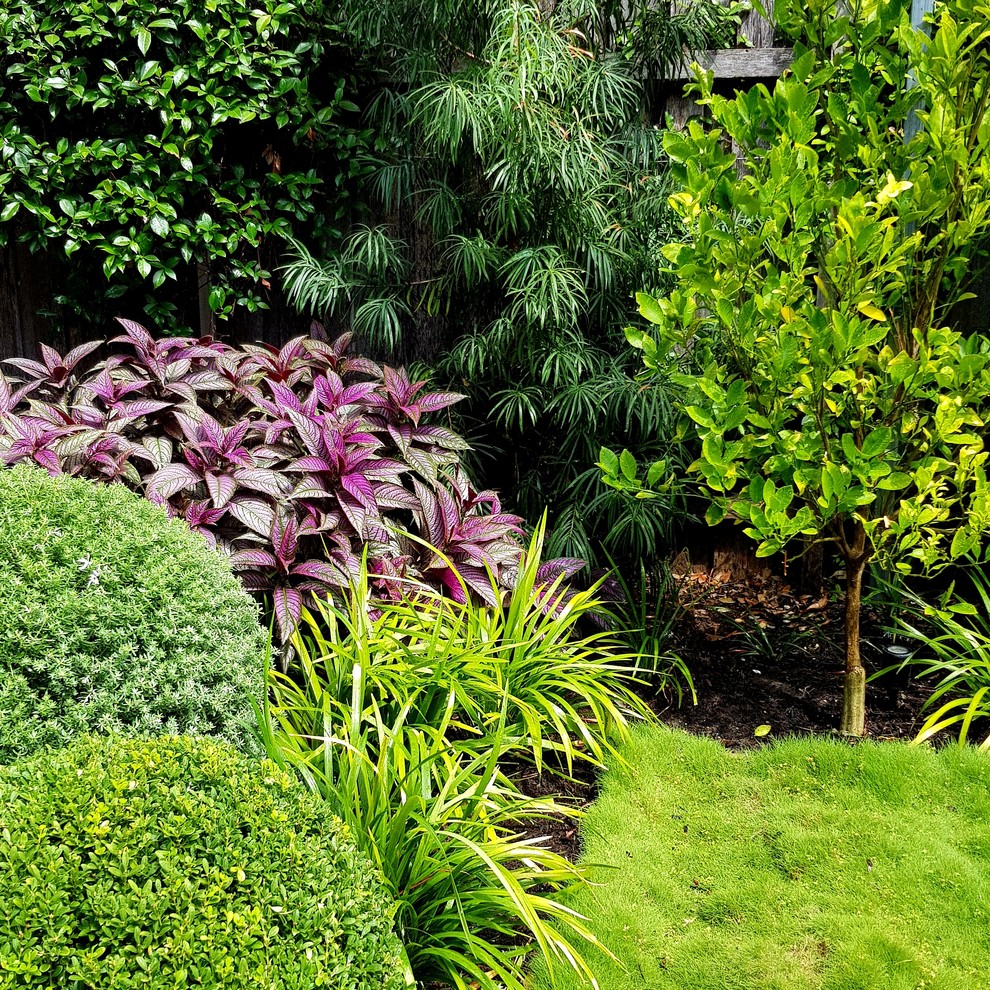 На фото: летний участок и сад среднего размера на переднем дворе в современном стиле с полуденной тенью с