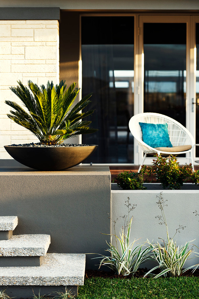 Foto de jardín contemporáneo de tamaño medio en verano en patio delantero con exposición total al sol y adoquines de hormigón