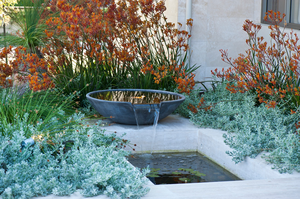 Design ideas for a medium sized contemporary front garden in Perth with a water feature.