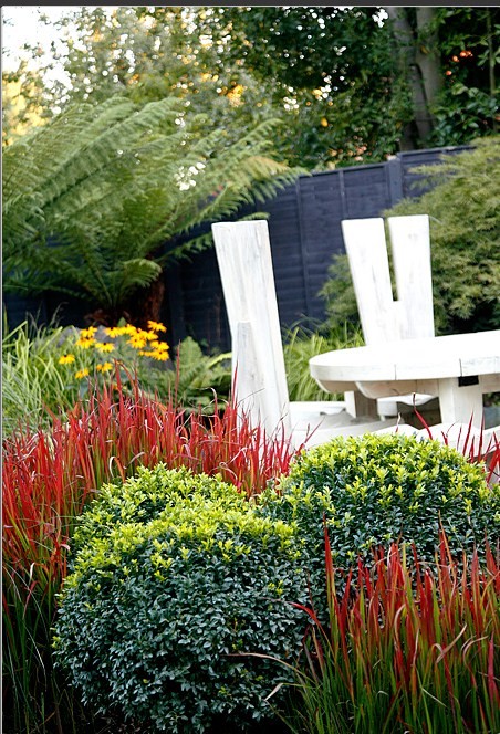 Photo of a contemporary garden in Surrey.