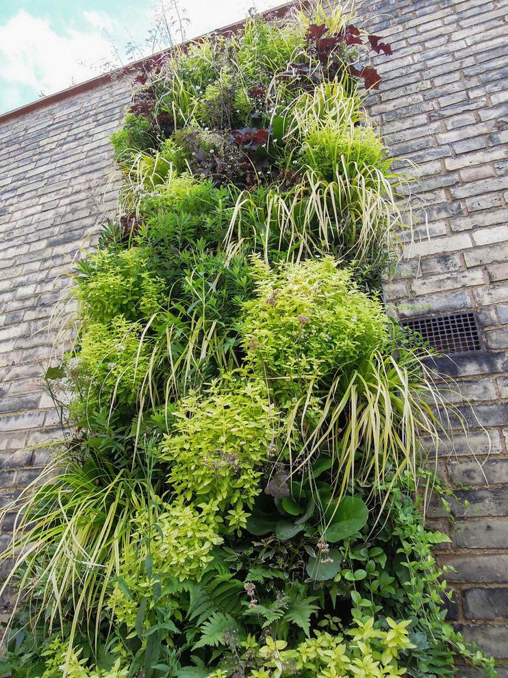 Geometrische, Kleine, Halbschattige Moderne Pflanzenwand im Sommer, hinter dem Haus mit Natursteinplatten in Essex