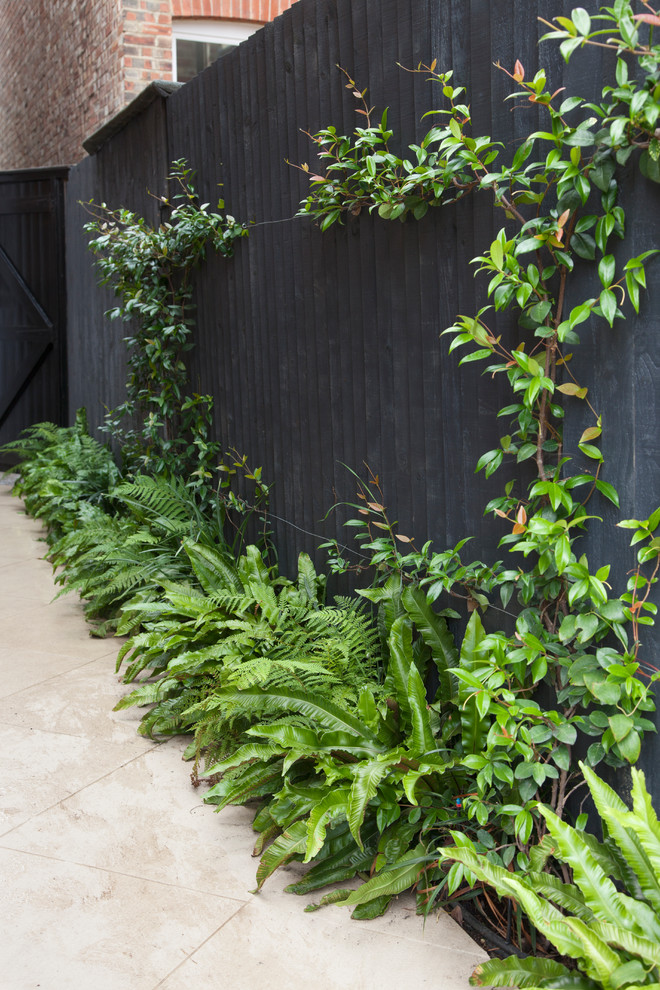 Druce Road - Modern - Landscape - London - by Kate Eyre Garden Design