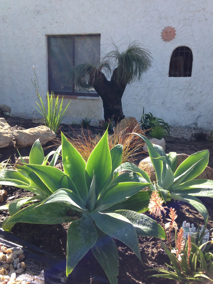 Photo of an eclectic landscaping in Perth.